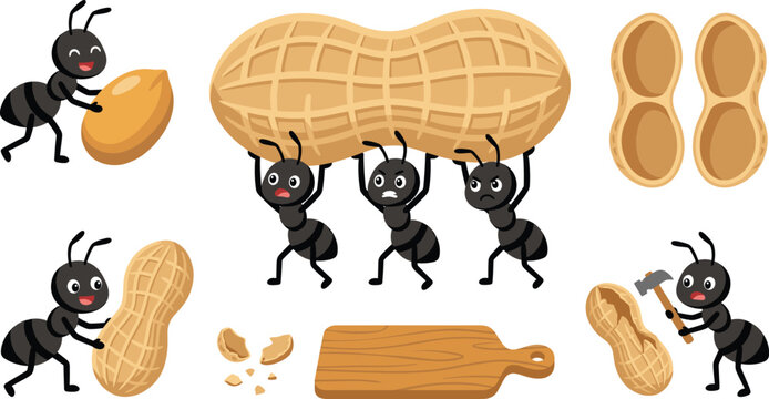 Cute Cartoon Ants with Peanuts Vector Set Featuring Hardworking Insects Carrying Giant Nut, Cracking Shell with Hammer, and Wooden Board