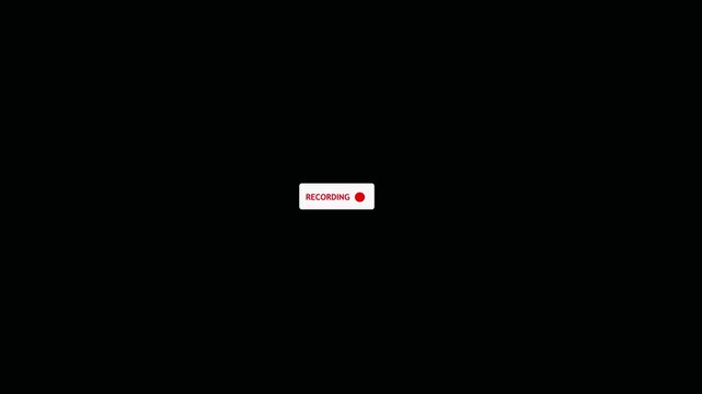 Audio Recording UI Animation Element with Red REC Indicator Light and Dynamic Sound Waveform