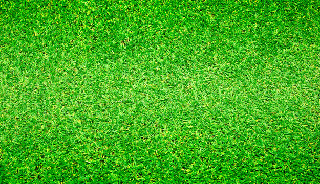 grass background Golf Courses green