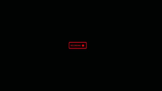 Red Digital Recording Camera UI Overlay Animation with Timecode and Audio Waveform on Black Background