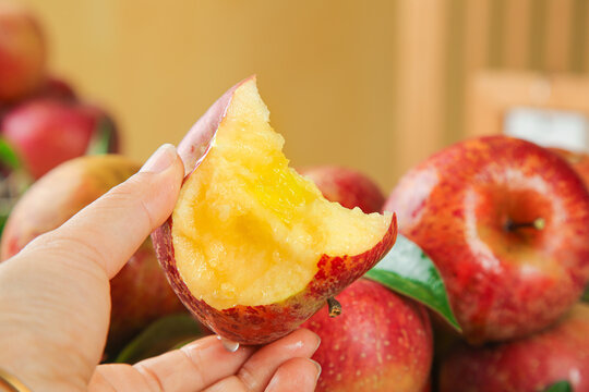 Fresh Red Apple Bite Showing Sweet Yellow Flesh in Hand with Ripe Fruit Background