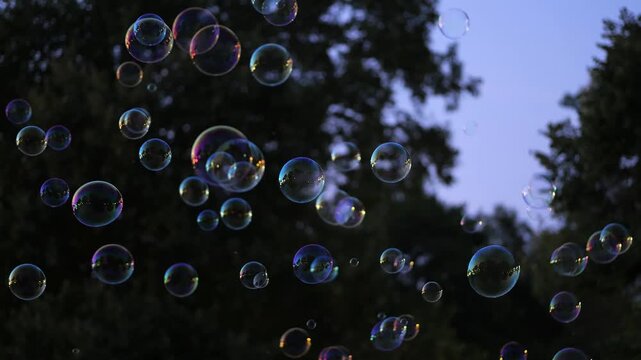 Iridescent soap bubbles floating at dusk