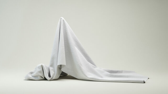 A Mysterious Form Under a Drape: An abstract representation of hidden potential or an unknown subject, a white cloth drapes over an unseen form, creating an air of mystery and intrigue.