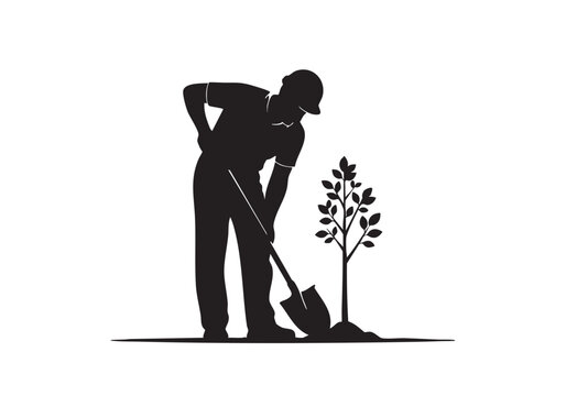 Silhouette of a man wearing a hard hat digging in the dirt to plant a small young tree sapling Vector, illustration