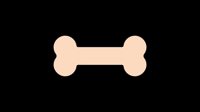 Editable dog chewing bone  icon. Veterinary, animal, pet care, pet shop. Part of a big icon set family. Perfect for business, web and app interfaces, presentations, infographics, etc
