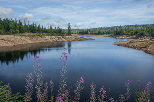Scenic view of Oderteich reservoir in Harz National Park Germany