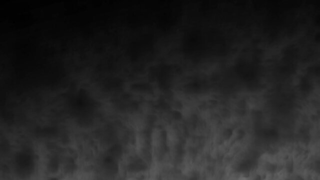 white smoke effect. smooth swirling smoke black background. realistic white smoke flowing through the air with soft mist, 4k loop.