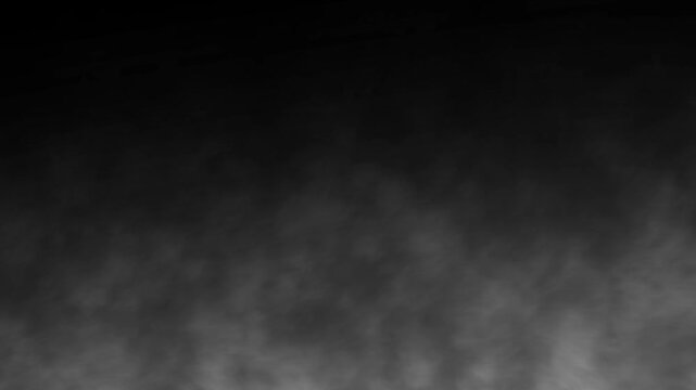 white smoke effect. smooth swirling smoke black background. realistic white smoke flowing through the air with soft mist, 4k loop.