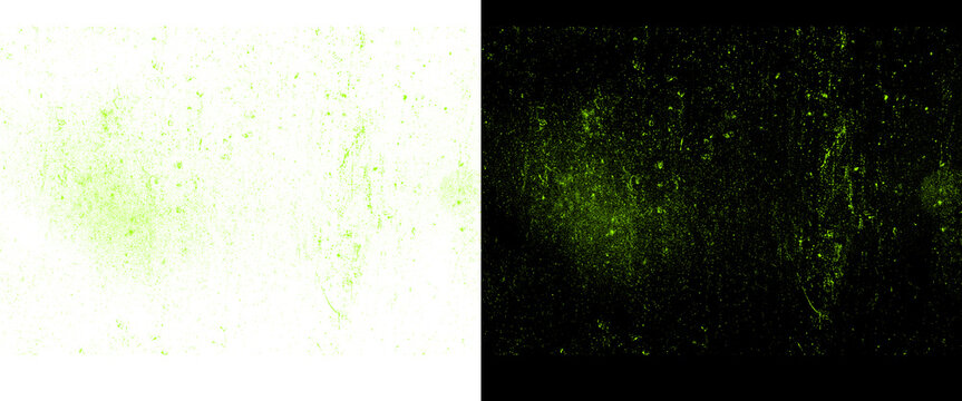 Neon green spray paint texture on black and white backgrounds. Gritty graffiti splatter effect, urban street art spray mist elements.