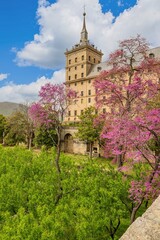 Naklejka premium Real Monasterio de San Lorenzo de El Escorial: Pink Flowering Trees Frame Historic Castle