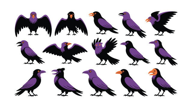 Set of cartoon vector illustrations featuring different crow bird poses isolated on white background