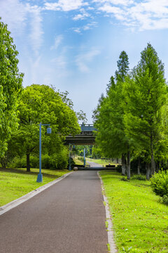 Lush Park Pathway Leading Under a Bridge