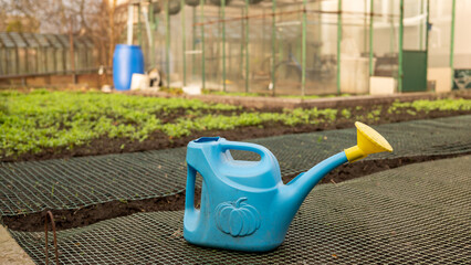 Blue watering can in greenhouse garden with seedlings and green grids © Julia Jones