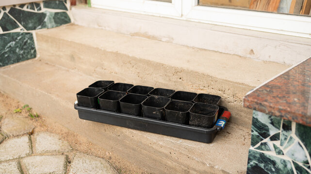 Empty seedling trays on concrete steps outside a building entrance
