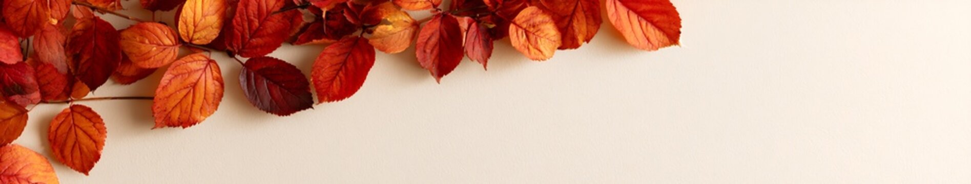 Autumn red and orange leaves arranged along top edge on cream textured background with right side copy space