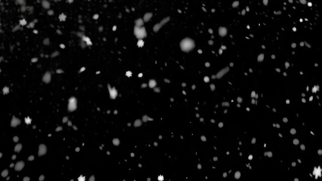 Falling Snowflakes on Black Background