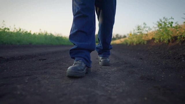 Agronomist or farm worker walking on ground path in fields, close up of feet. Rural scenery, slow motion of male legs stepping on soil in farmland, ecologist or farmer examining ranch or farm