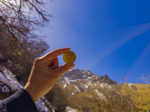 Hand holding gold cryptocurrency coin with snowy mountain backdrop