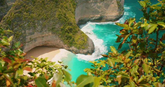 Lush foliage foreground with dramatic cliff and turquoise ocean in Nusa Penida Bali