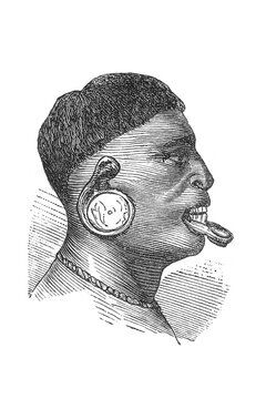 Botocudo man in side profile with traditional lip and ear plugs, old vintage illustration, 1894.