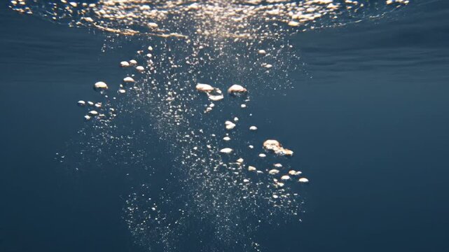 Underwater Bubbles Rising in Deep Blue Sea