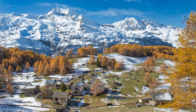 view on alpine village the Monal  with golden larch trees in forest and snowy peak mountain background under blue sky in tarentaise, savoie france