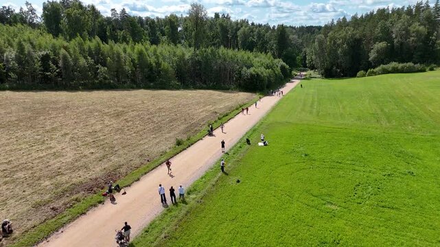 Distance runners spread out along a sunny countryside gravel road bordered by fields and forest during an outdoor race.