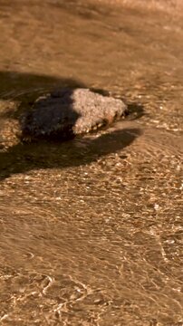 Golden Sunlight Rippling Over Shallow Creek Water and Sand