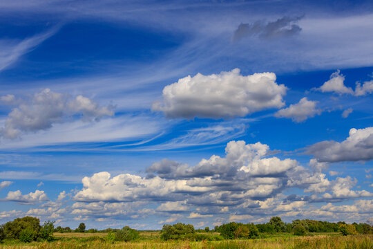 Blue sky hosts fluffy white clouds