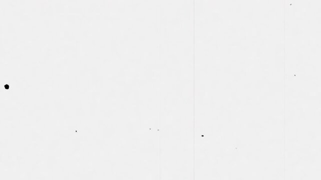 Old film surface with black dust particles, scratches and grain. White vintage film texture with vertical interference and static noise at the bottom. Retro analog screen effect for video overlay.