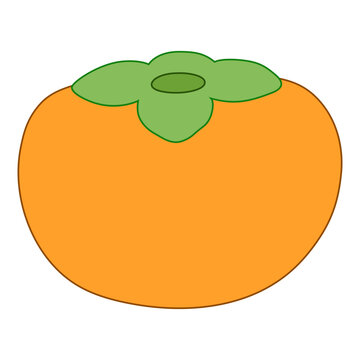 persimmon illustration