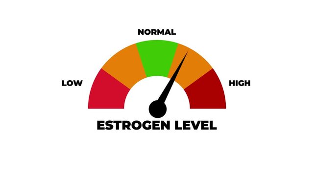 Animated estrogen level meter showing movement from high level to low level, ideal for illustrating hormone imbalance, women&rsquo;s health monitoring, and reproductive system analysis.4k motion graphics