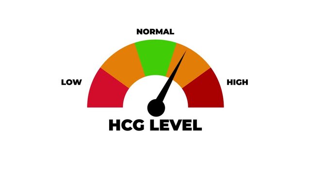 Animated HCG hormone level meter gauge showing low to high measurement indicator for pregnancy testing, fertility treatment and early pregnancy detection.4k motion graphics video