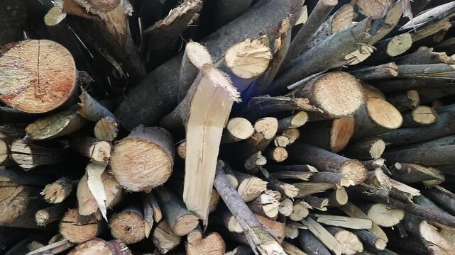 A large pile of freshly cut wooden logs stacked together for winter fuel.
