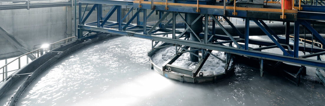Process of obtaining magnetite concentrate from iron ore at processing plant, Flotation industry background