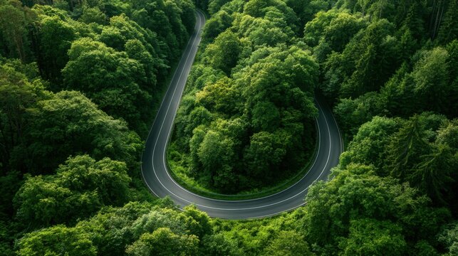 Natural forest corridor with modern transportation access, representing Climate Strategy, Net Zero Transition

