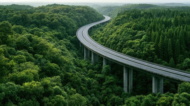 Natural forest corridor with modern transportation access, representing Climate Strategy, Net Zero Transition
