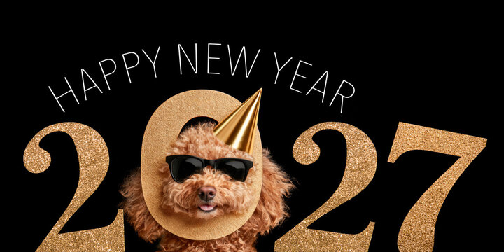 happy new year, new year's eve party, celebration greeting card with text - Funny poodle with party hat, sunglasses and golden year 2027, isolated on black background