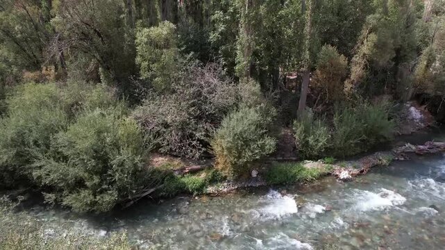 Chalus Road river rushes between riverside trees as clear mountain water foams over stones along a forested Iranian valley corridor. Ideal for travel, tourism, and nature stock Iran Alborz.