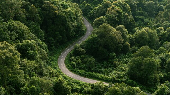 Aerial Forest Road Through Tropical Landscape for ESG Sustainability and Net Zero Strategy
