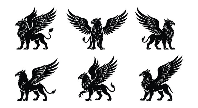 Six black griffon silhouettes showcase varied poses against a white background