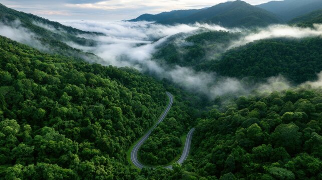 Aerial view of a winding highway cutting through lush tropical forest and mountain landscape under misty skies
