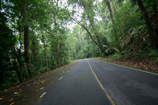 Scenic Road Through Lush Green Forest in Yai for Tourists and Travelers