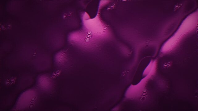 Purple and magenta caustics shimmer through a gyroid-like lattice, a seamless loop with a scientific optical feel.