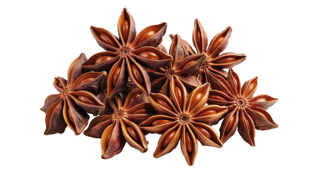 Several dried star anise spice pods grouped together on a white background, highlighting the star shape and the textured brown woody skin