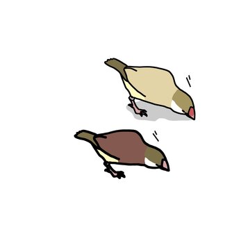 Cute finch birds foraging vector illustration isolated on white background for pet product design, fashion print, textile pattern, sticker, and commercial use.