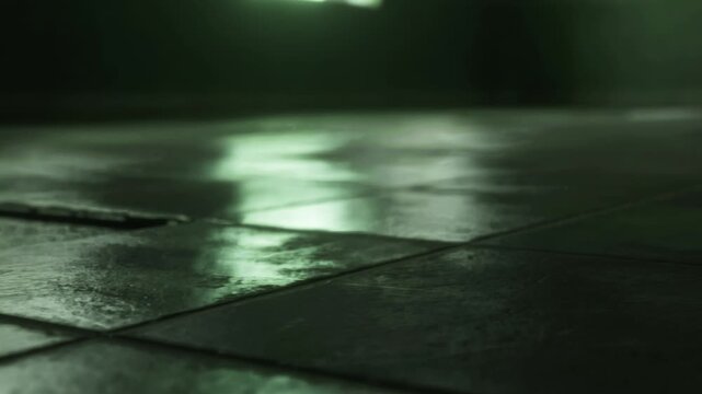 The floor is wet and shiny in a room with low light. A green light casts reflections on the tiles. The setting feels quiet and empty.