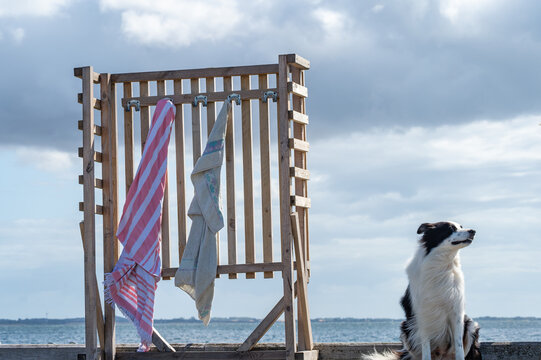 Schwarz-wei&szlig;er Hund sitzt neben einem Holzgestell mit Badet&uuml;chern auf einer Seebr&uuml;cke am Meer unter wechselnd bew&ouml;lktem Himmel.