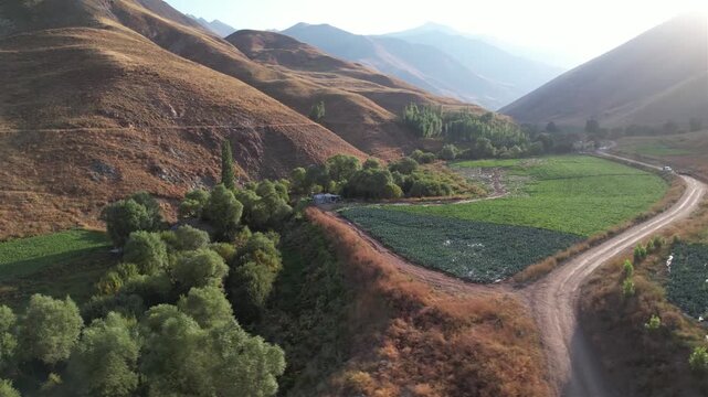 Aerial Chalus Road scene of green fields, tree lines, and a dirt road wrapping a mountain valley under soft highland light. Ideal for travel, tourism, and nature stock Iran Alborz mountains.