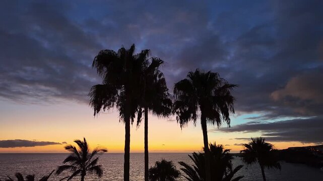 Palm Trees Silhouettes at Sunset in Puerto Naos